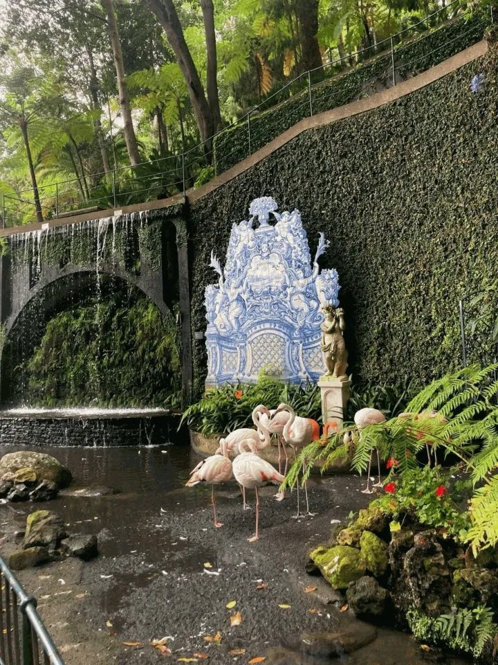 Фламінго в саду